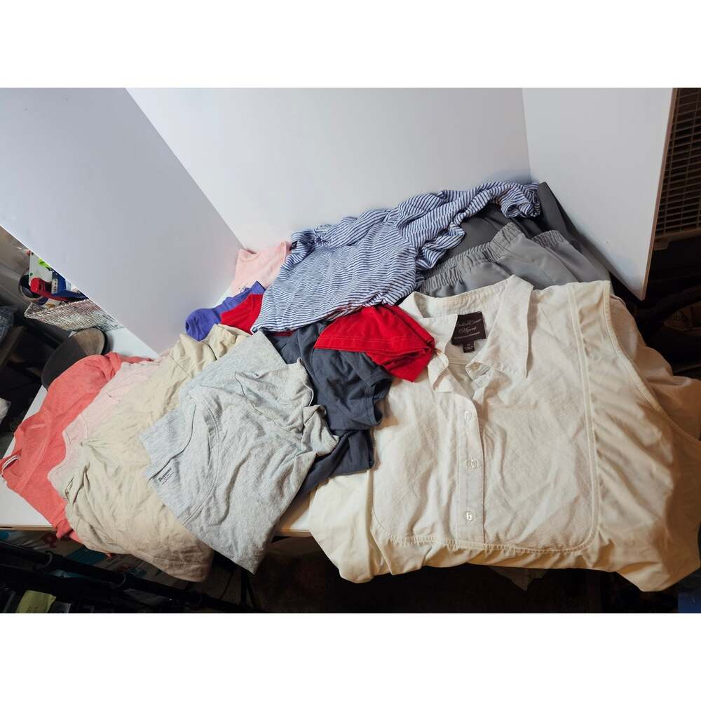 Women's plus size clothing lot (12 items)